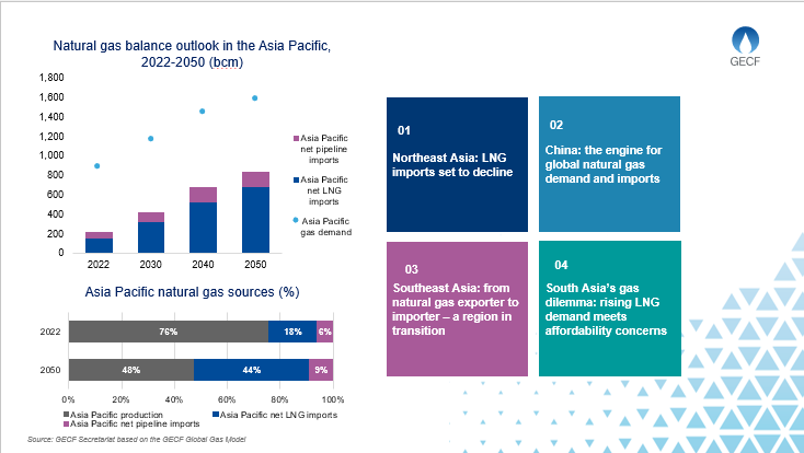 Expert Commentary: The growing role of LNG imports in the Asia Pacific
