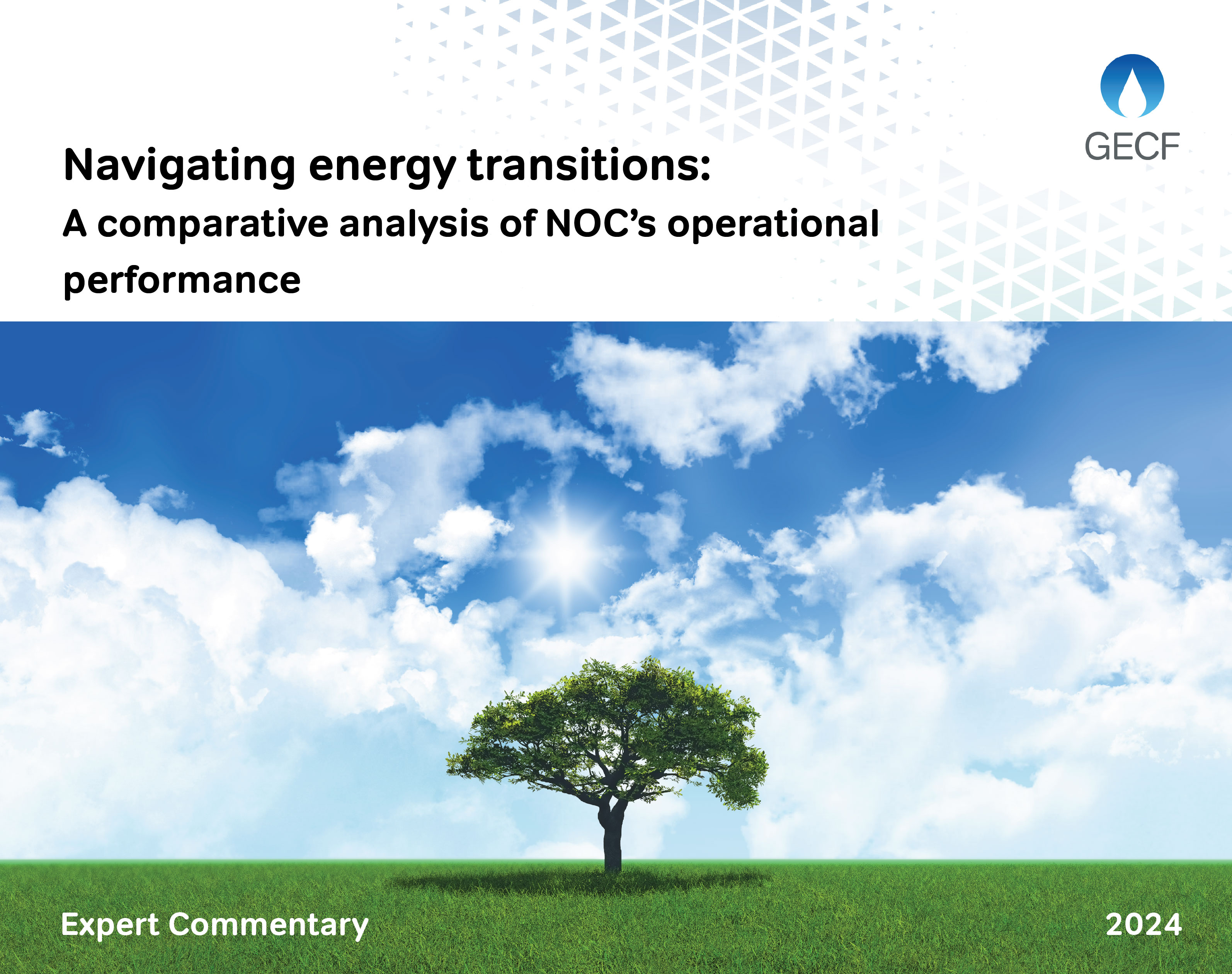 Expert Commentary, navigating energy transitions: A comparative analysis of NOC’s operational performance